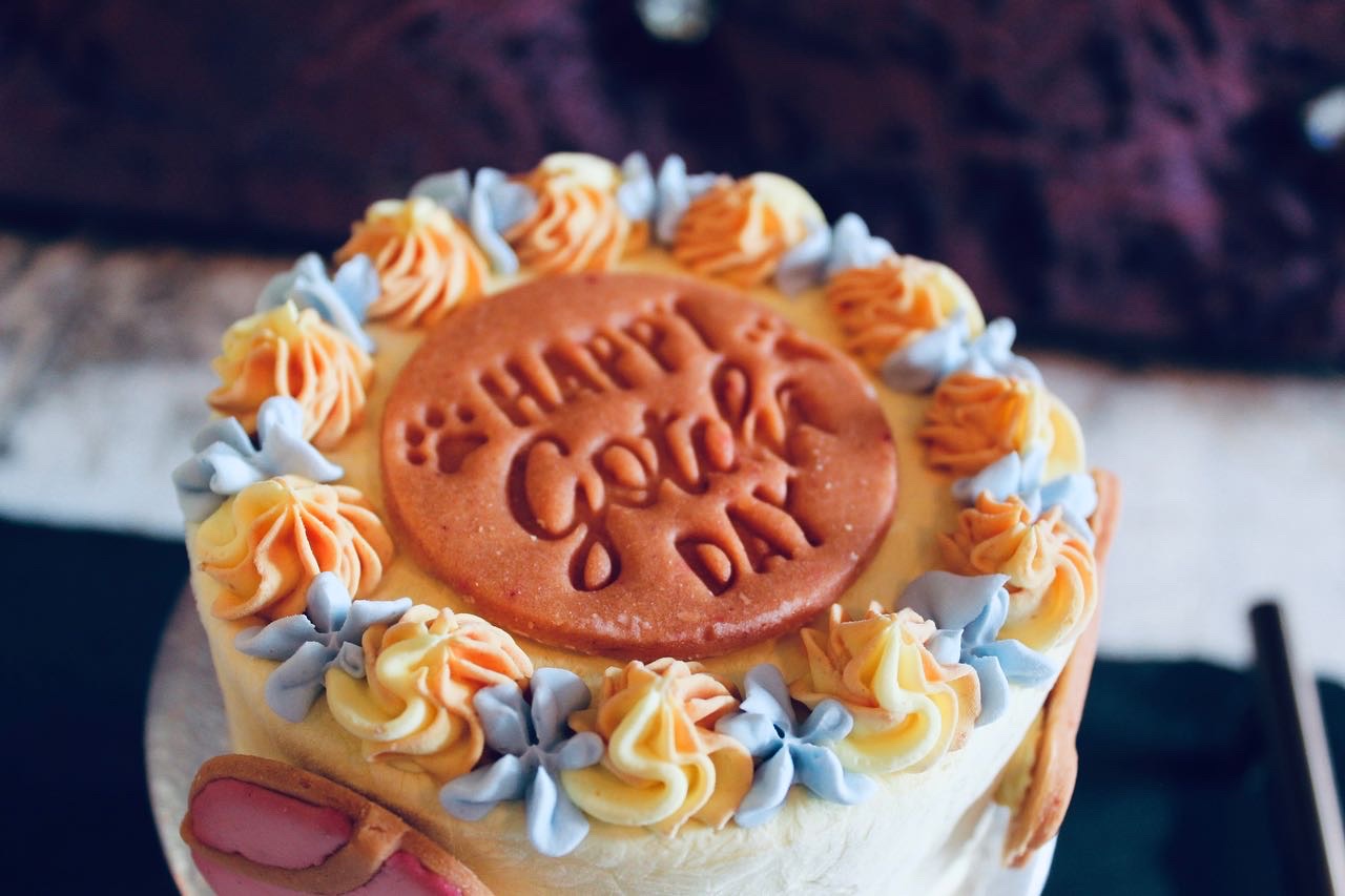 Paige of Sussex Pet Patisserie · Photos 13