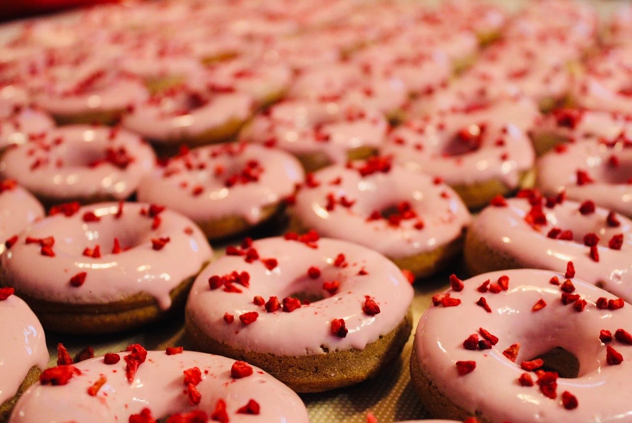 Paige of Sussex Pet Patisserie · Photos 10
