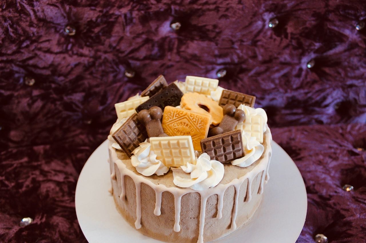 Paige of Sussex Pet Patisserie · Photos 12