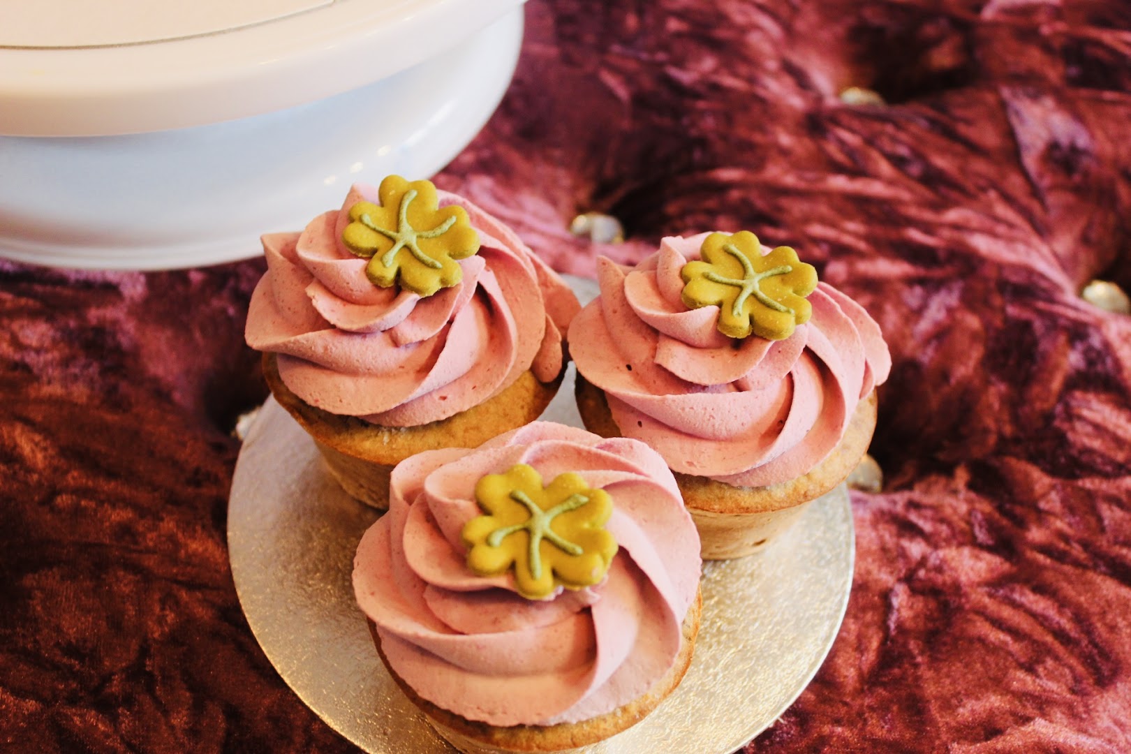 Paige of Sussex Pet Patisserie · Photos 2